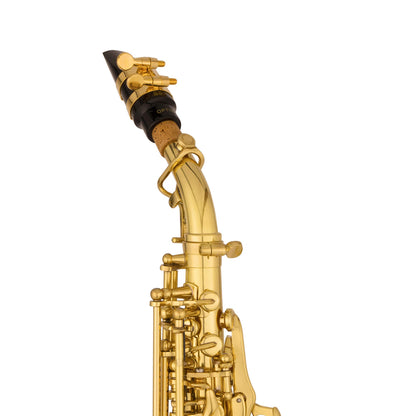 Intermediate Curved Soprano — view 5