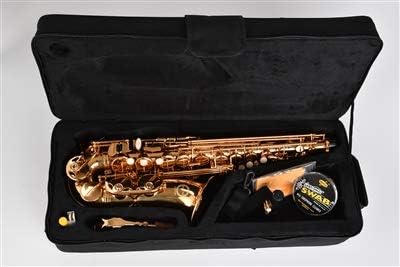 Saxophone Herche Superior Alto Saxophone X3 — view 7