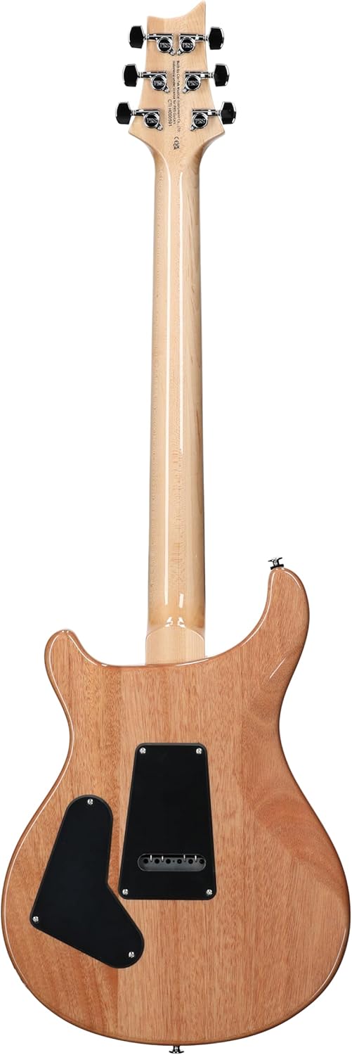 PRS SE Custom 24 Exclusive, Blue Matteo Natural Back — view 7