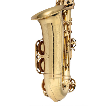 Professional Alto Saxophone — view 5