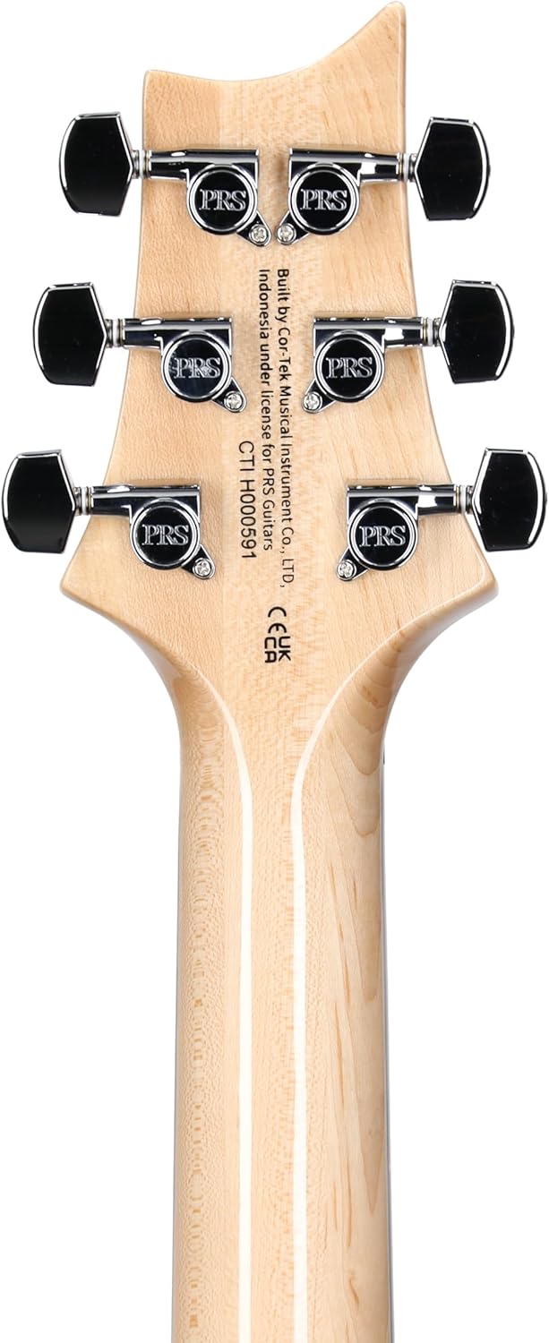 PRS SE Custom 24 Exclusive, Blue Matteo Natural Back — view 6