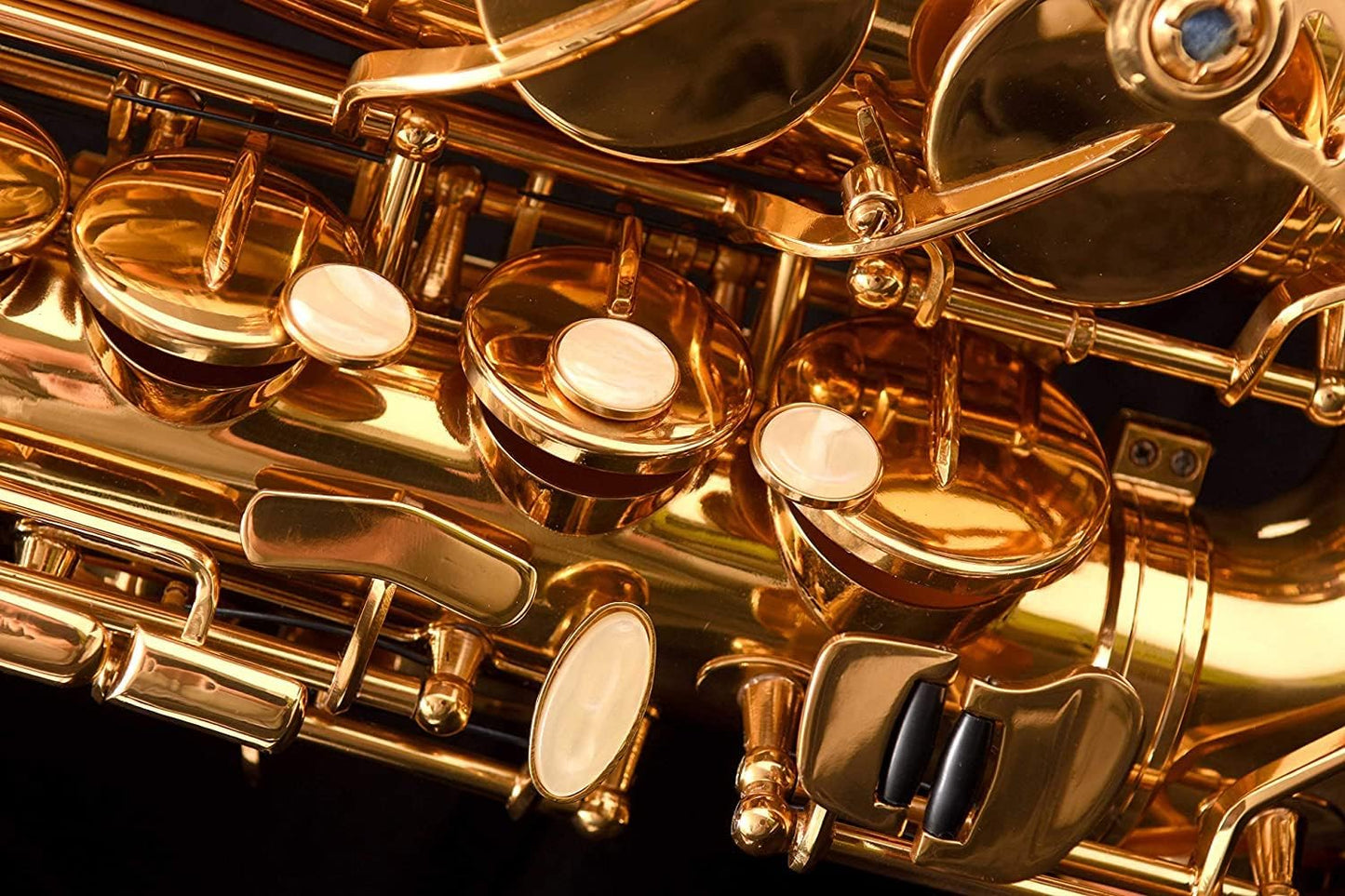 Saxophone Herche Superior Alto Saxophone X3 — view 6