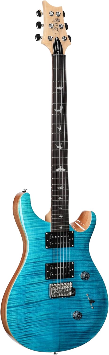PRS SE Custom 24 Exclusive, Blue Matteo Natural Back — view 3