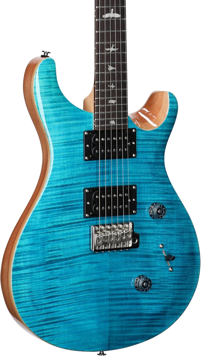 PRS SE Custom 24 Exclusive, Blue Matteo Natural Back — view 4
