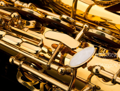 Gold Laquer E Flat Alto Saxophone with 11reeds,8 Pads cushions,case,carekit — view 8