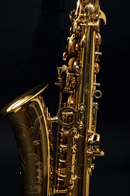 Saxophone Herche Superior Alto Saxophone X3 — view 5