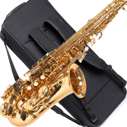 Saxophone Herche Superior Alto Saxophone X3