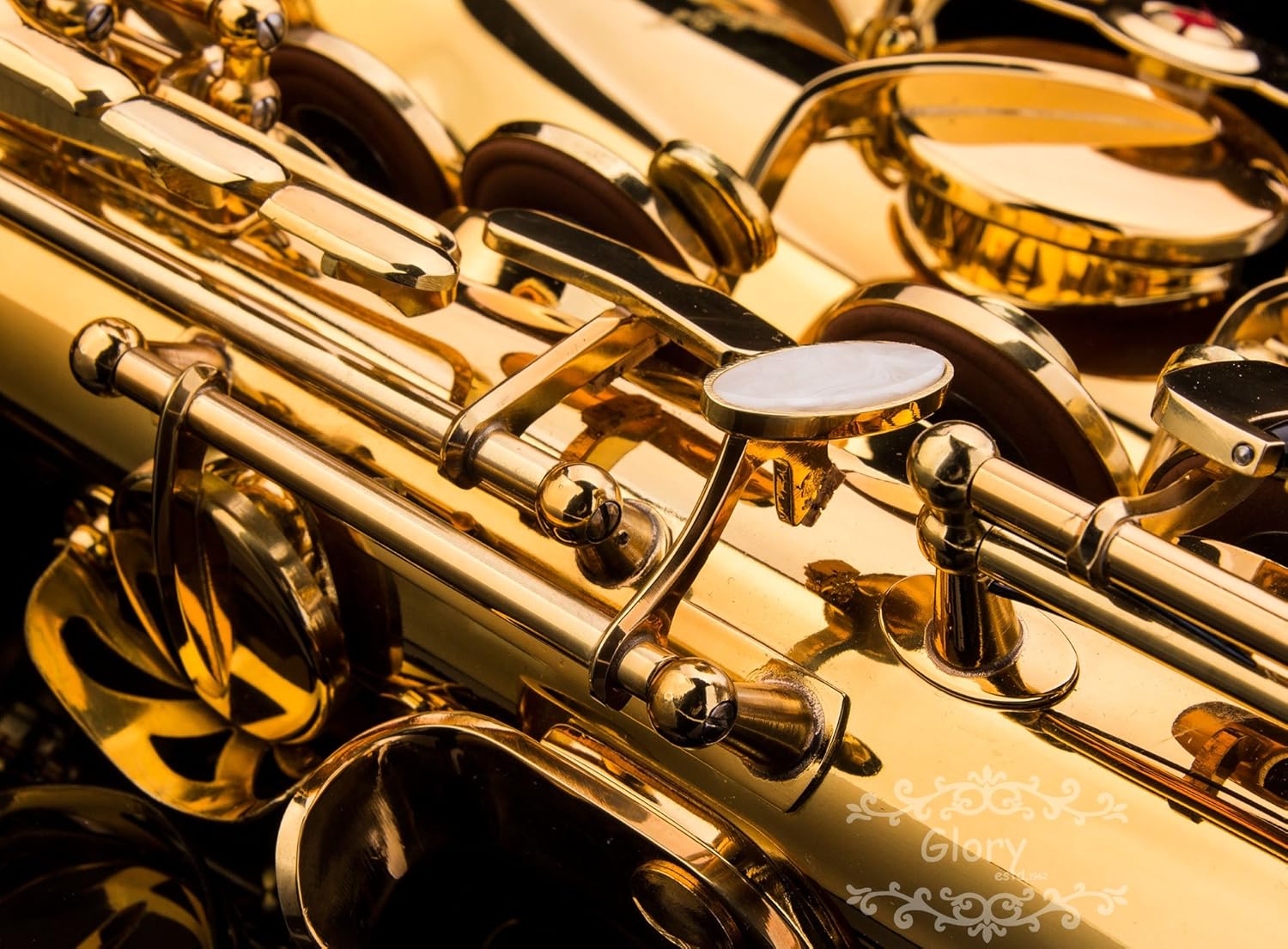 Gold Laquer E Flat Alto Saxophone with 11reeds,8 Pads cushions,case,carekit — view 5