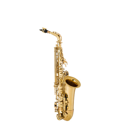 Student Alto Saxophone — view 15
