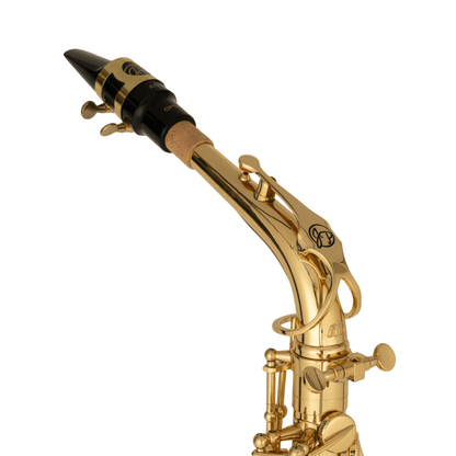 ACADEMY MODEL 660 Intermediate Alto Saxophone - B-Stock — view 5