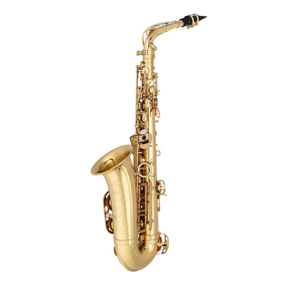 Professional Alto Saxophone — view 2