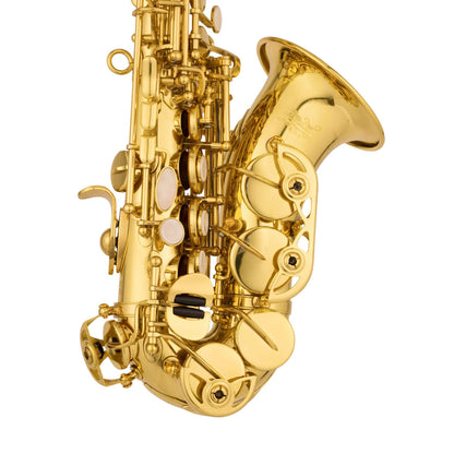 Intermediate Curved Soprano — view 4