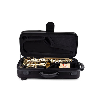 Professional Alto Saxophone — view 10
