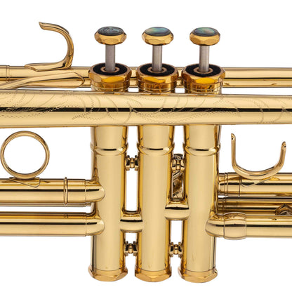 Professional Trumpet — view 5