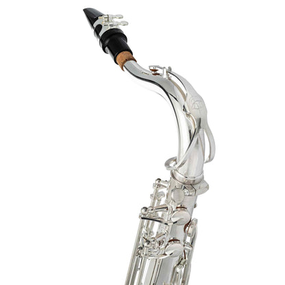 Student Tenor Saxophone — view 11