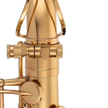 Professional Tenor Saxophone ANNIVERSARY EDITION — view 23
