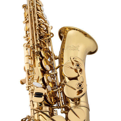 Professional Alto Saxophone — view 6
