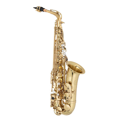 Professional Alto Saxophone — view 3